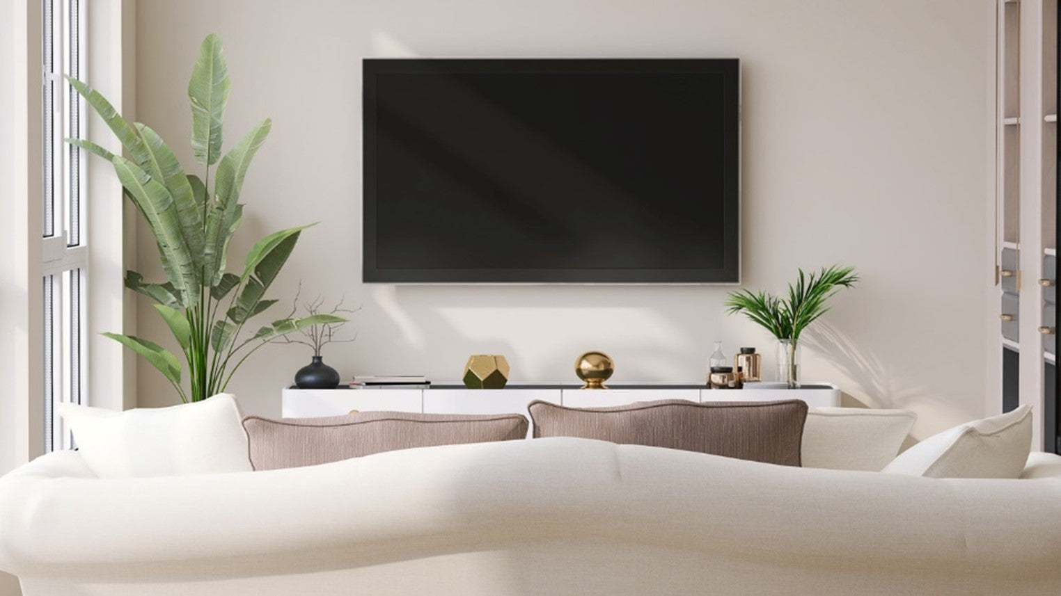 Graded TVs Saving Money and the Environment